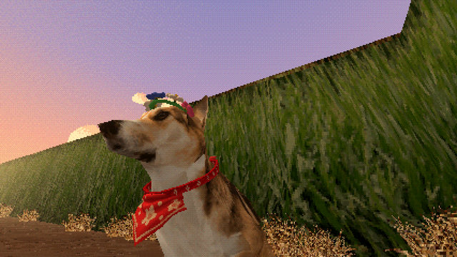 A dog in a flower crown and bandana in the Cornfield
