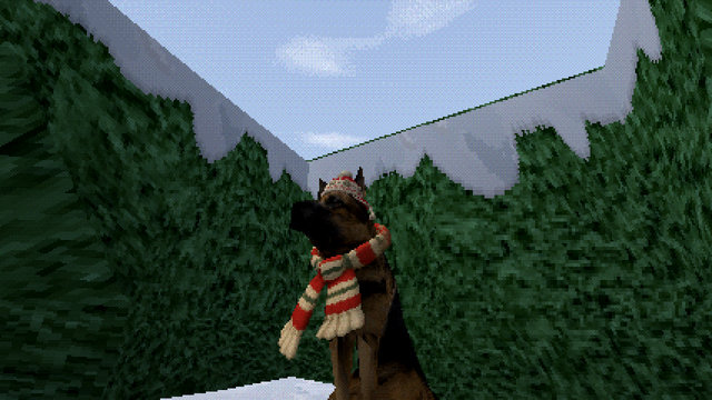 A German Shepherd in a woolly hat and scarf