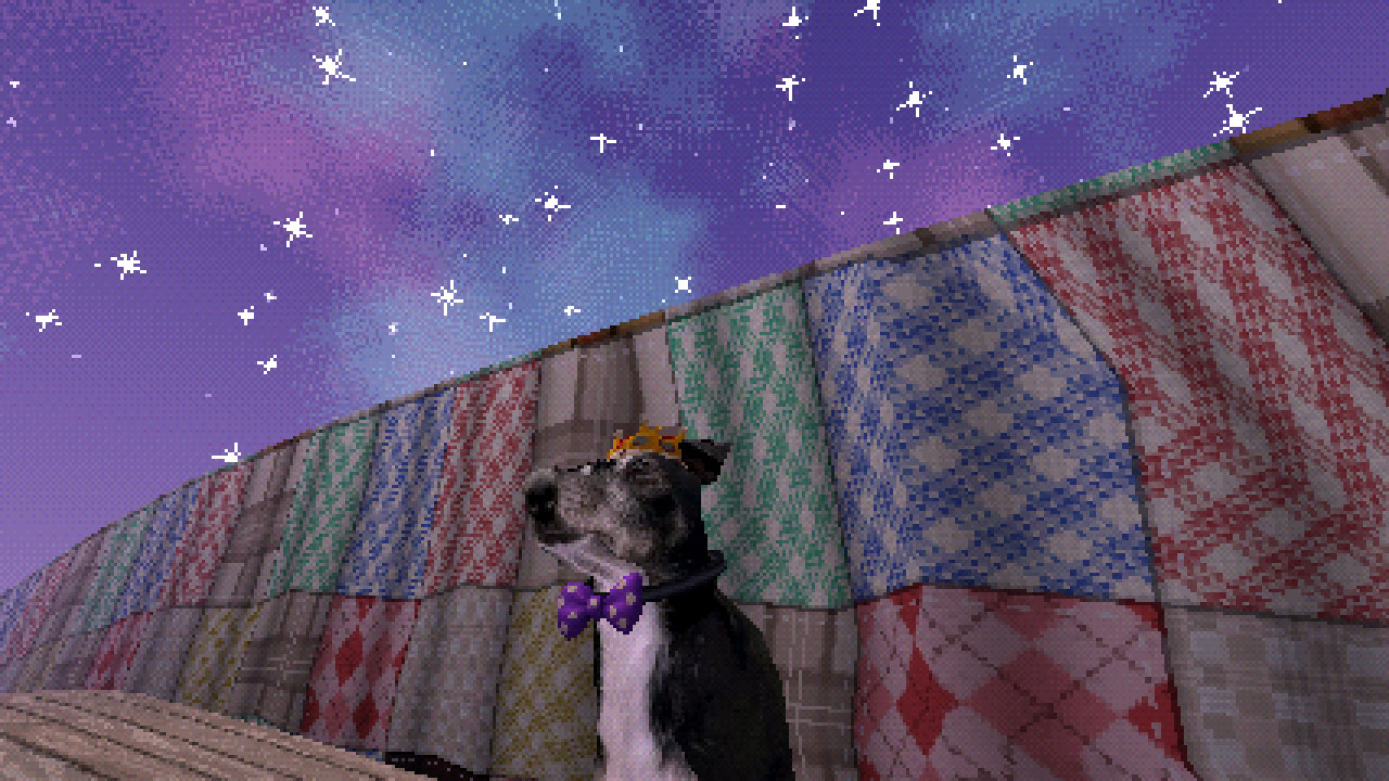 A dog wearing a crown and a purple bow tie, in front of patchwork quilt walls under a starry sky